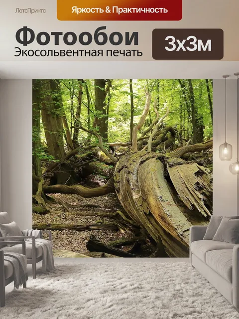 Фотообои Лес