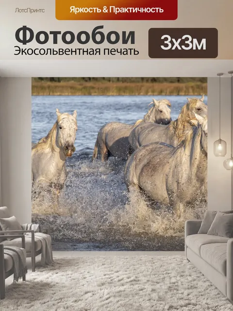 Фотообои Лошади