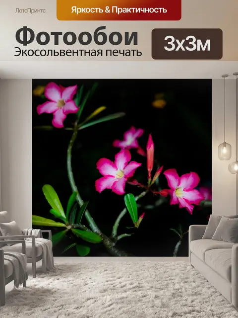 Фотообои Цветок