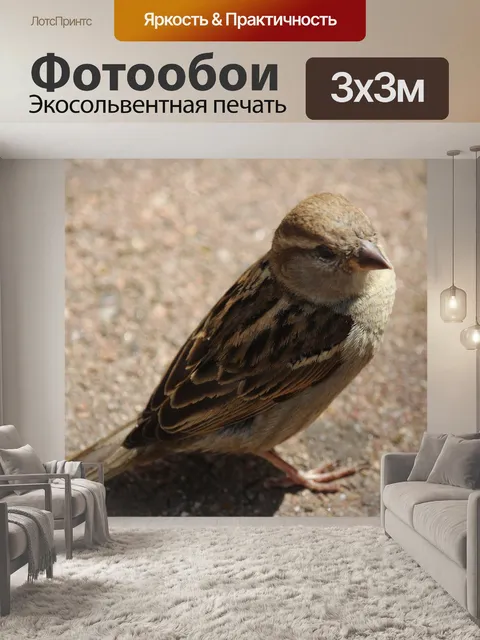 Фотообои Птица