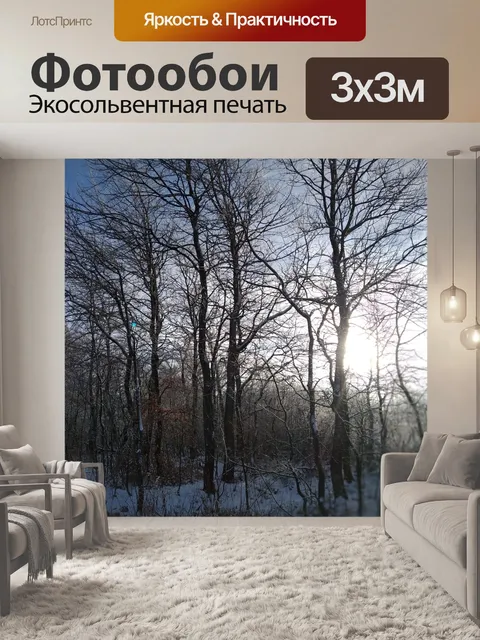 Фотообои Деревья