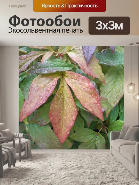 Фотообои Пион