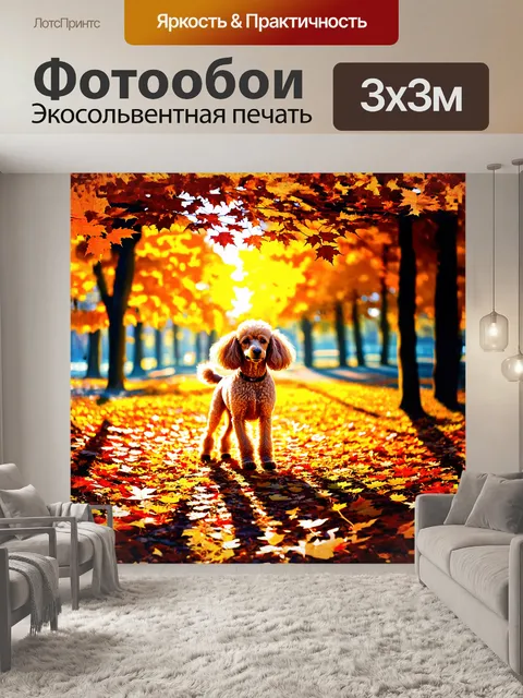 Фотообои пудель, окруженный осенними листьями в парке, с красочными оттенками желтого, оранжевого и коричневого