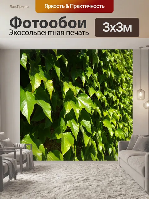 Фотообои Листья