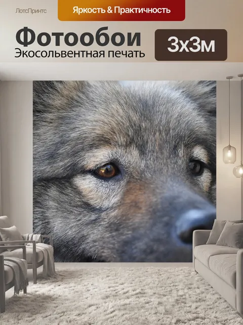 Фотообои Собака