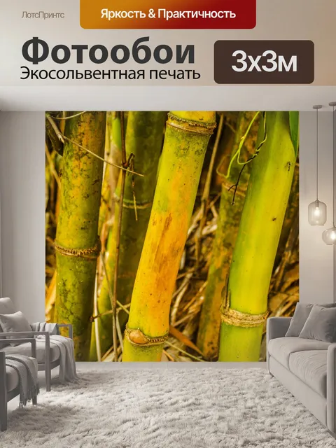 Фотообои Бамбуковый лес природа фон