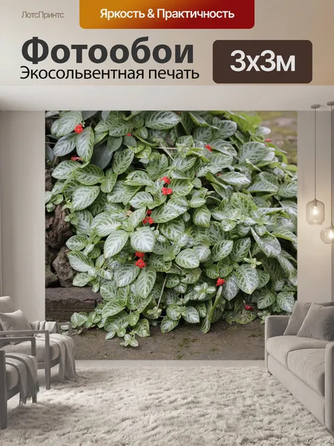 Фотообои Цветок