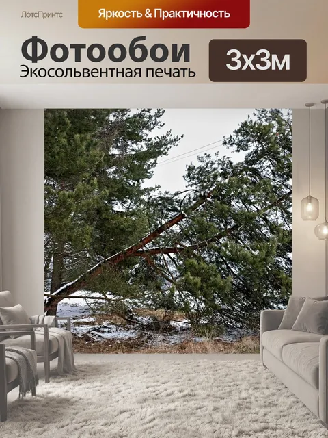 Фотообои Лес