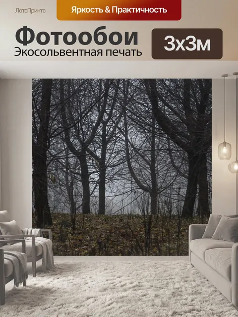 Фотообои Туман