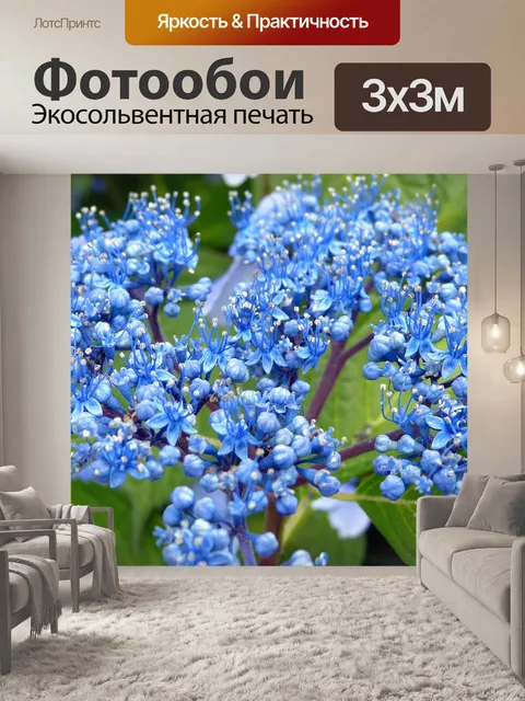 Фотообои Гортензии