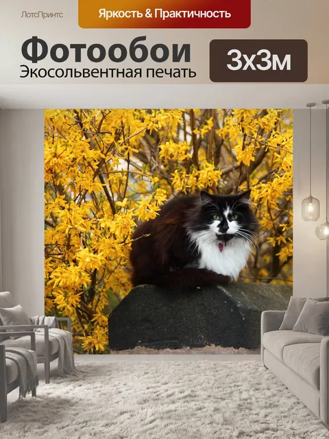 Фотообои Животное