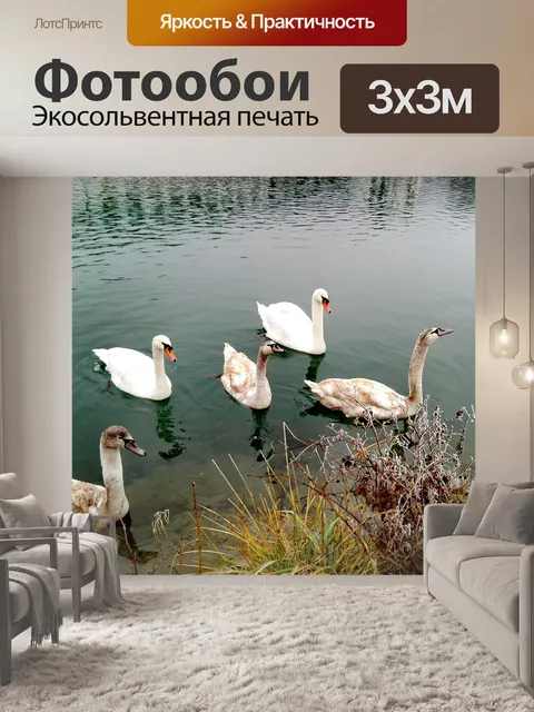 Фотообои Лебеди