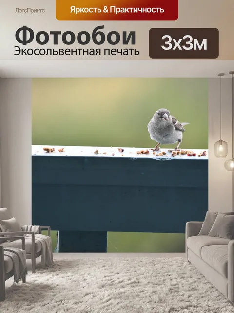 Фотообои Воробей и сухарики