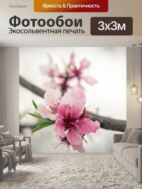 Фотообои Персиковый цвет