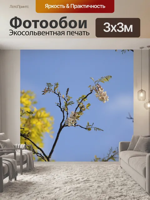 Фотообои Цветы