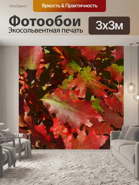 Фотообои Дубовые листья