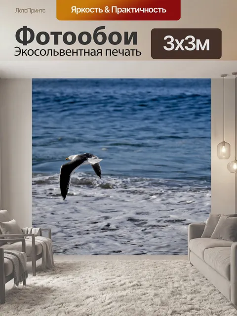 Фотообои Чайка в полете