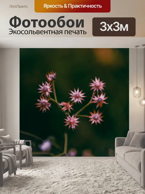 Фотообои Дневного света