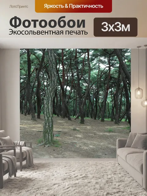 Фотообои Сосна