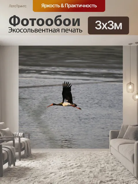 Фотообои Птица