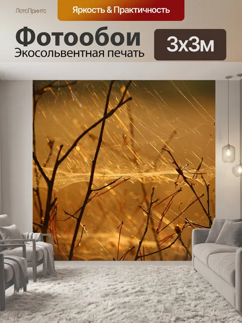 Фотообои Паутина