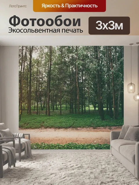 Фотообои Парк