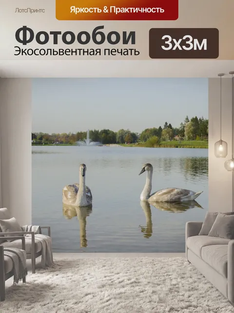 Фотообои Лебеди