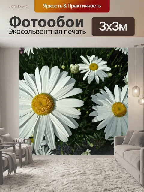 Фотообои Шаста Ромашки