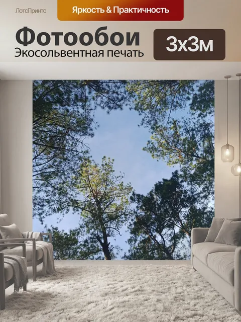 Фотообои Деревья