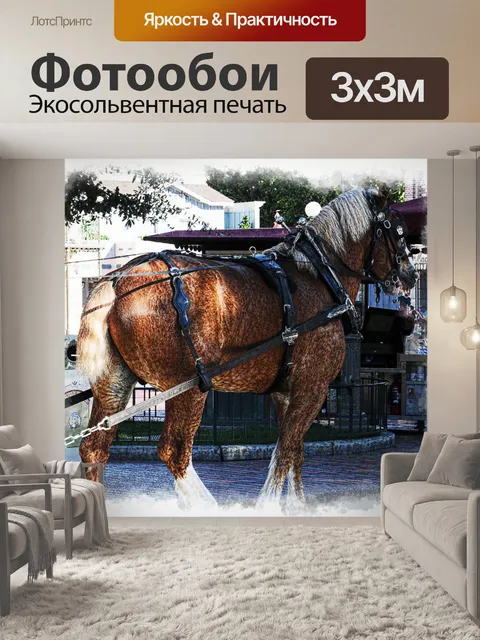 Фотообои Клейдесдаль