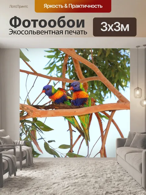Фотообои Попугаи