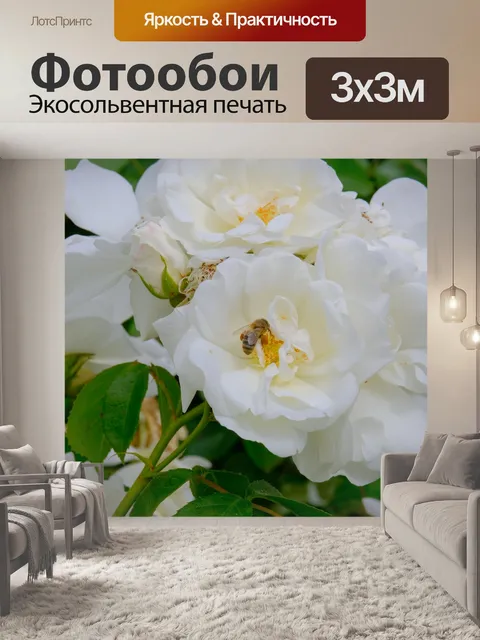 Фотообои Пчела на розе