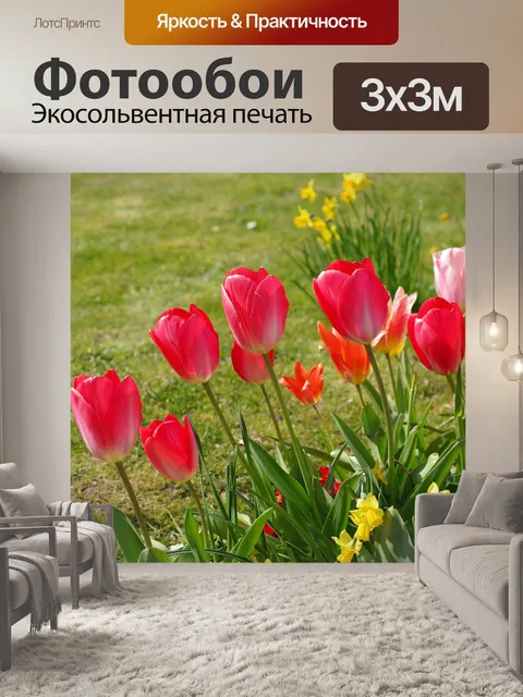 Фотообои Тюльпаны