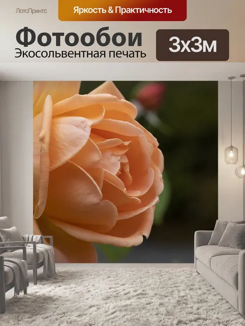 Фотообои Осень