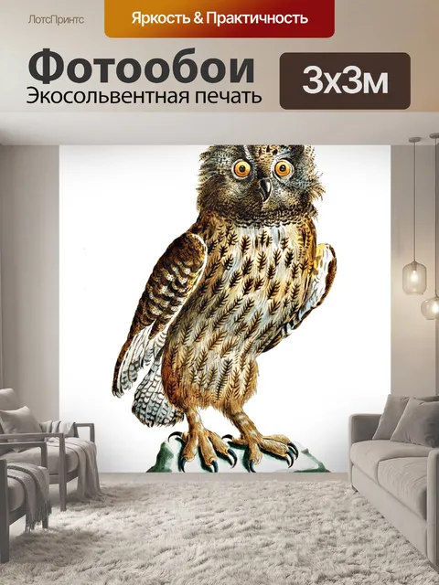 Фотообои Евразийский филин