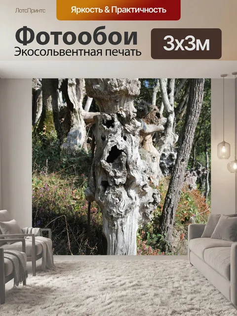 Фотообои Корень