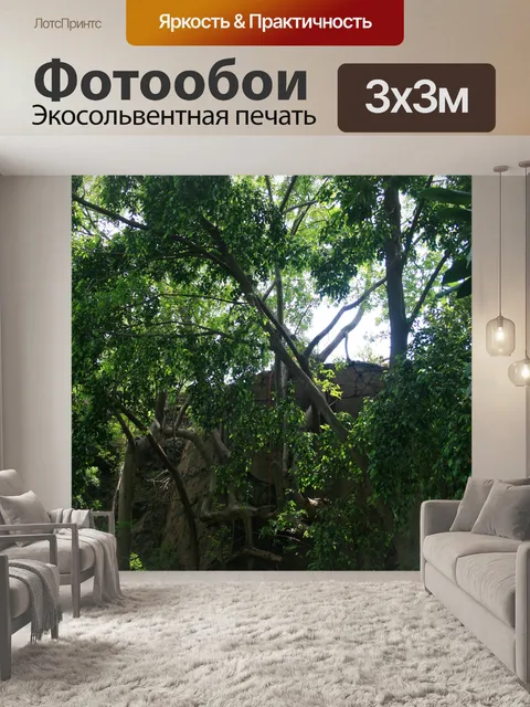 Фотообои деревья, ветки и листья