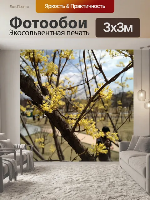 Фотообои Цветок