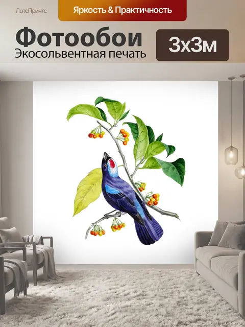 Фотообои Голубая Танагра Птица Винтажное Искусств