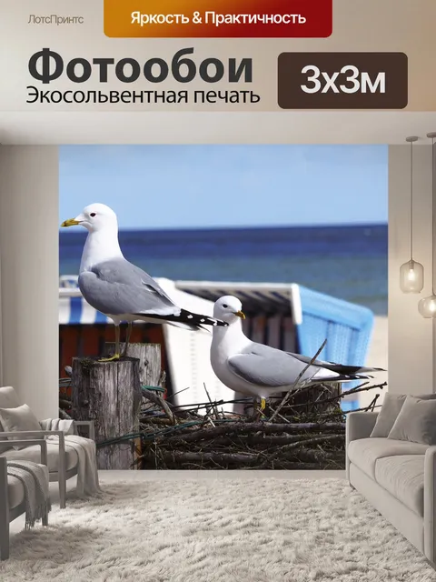 Фотообои Птица