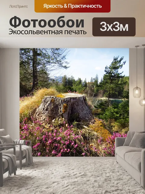 Фотообои Лес
