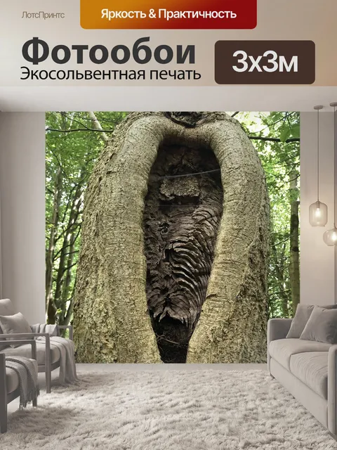 Фотообои Дерево