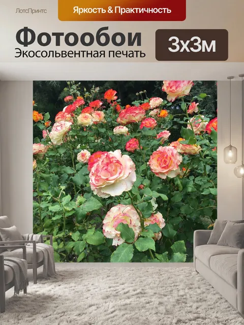 Фотообои Розы