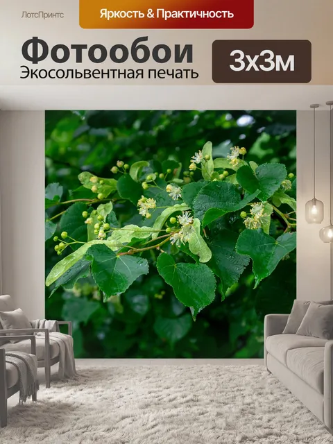 Фотообои Ветви