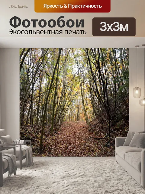 Фотообои Лес