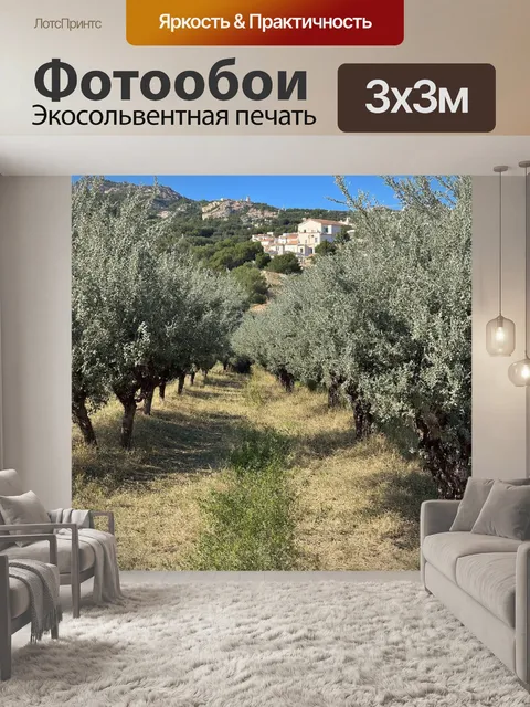 Фотообои греция, горные пейзажи, оливковые рощи, исторические деревни, свежий воздух, хрустящие листья, сельская…