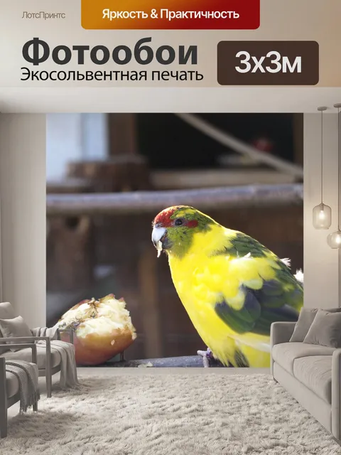 Фотообои Птицы