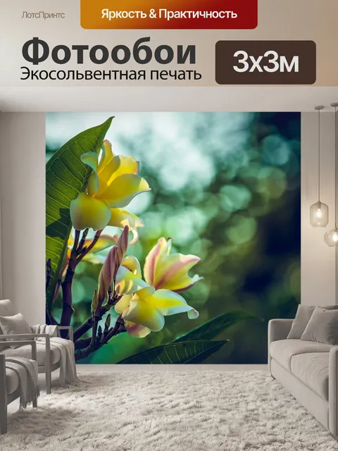 Фотообои Frangipani