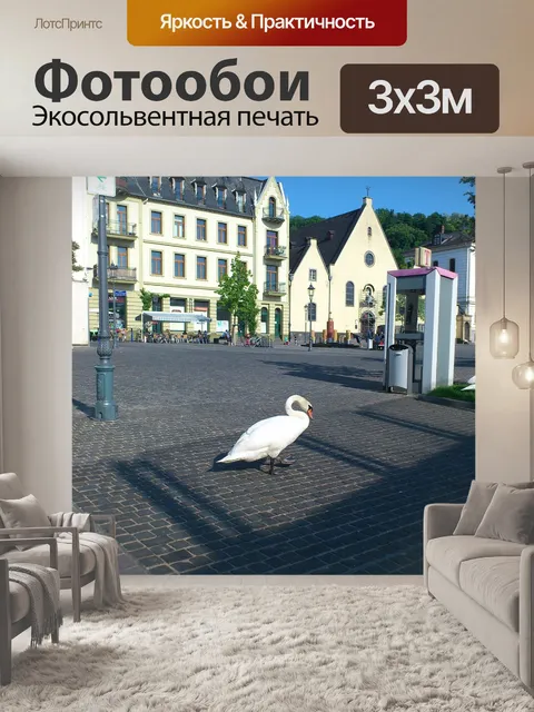 Фотообои Лебеди