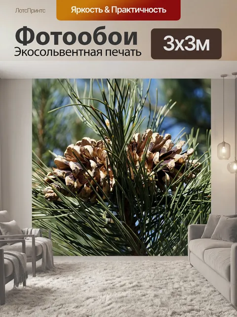 Фотообои Шишки